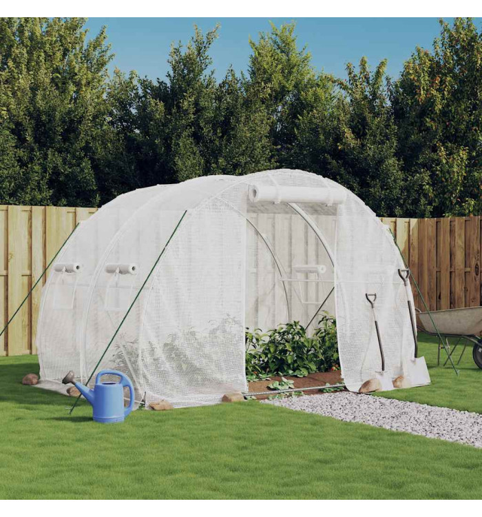 Serre avec cadre en acier blanc 6 m² 3x2x2 m | Mobilier & Déco