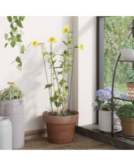 Piquets pour plantes de jardin 20 pcs vert foncé 61 cm acier | Mobilier & Déco