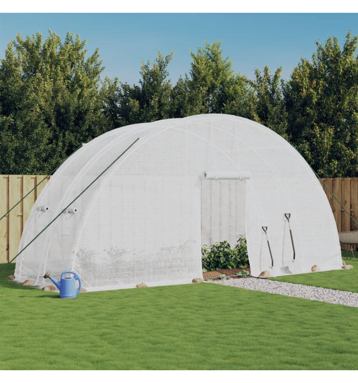 Serre avec cadre en acier blanc 12 m² 6x2x2,85 m | Mobilier & Déco