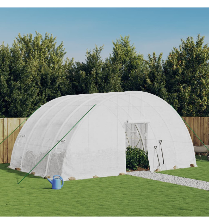 Serre avec cadre en acier blanc 24 m² 6x4x2,85 m | Mobilier & Déco