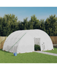 Serre avec cadre en acier blanc 24 m² 6x4x2,85 m | Mobilier & Déco