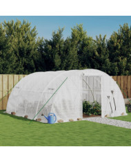 Serre avec cadre en acier blanc 16 m² 4x4x2 m | Mobilier & Déco