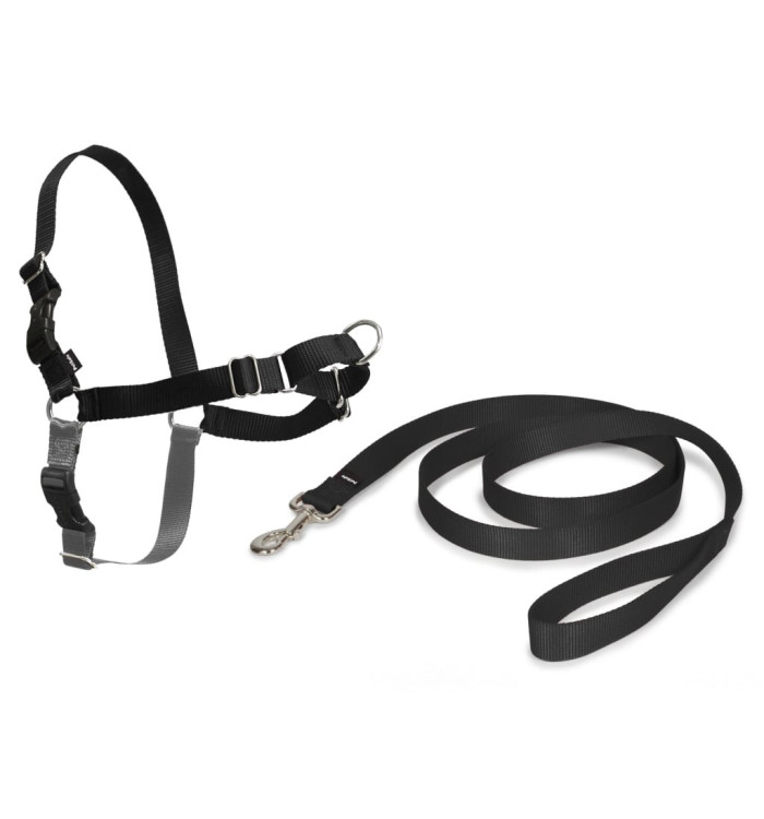 PetSafe Harnais pour chiens Easy Walk M Noir | Mobilier & Déco