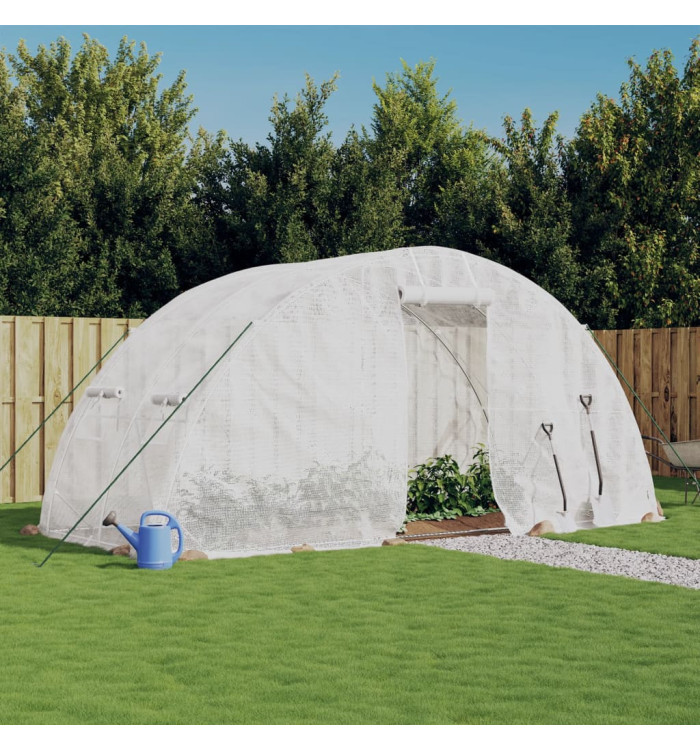 Serre avec cadre en acier blanc 10 m² 5x2x2,3 m | Mobilier & Déco