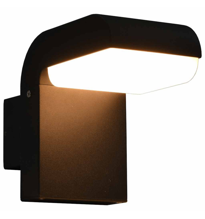 Applique murale LED d'extérieur 9 W Noir Ovale | Mobilier & Déco