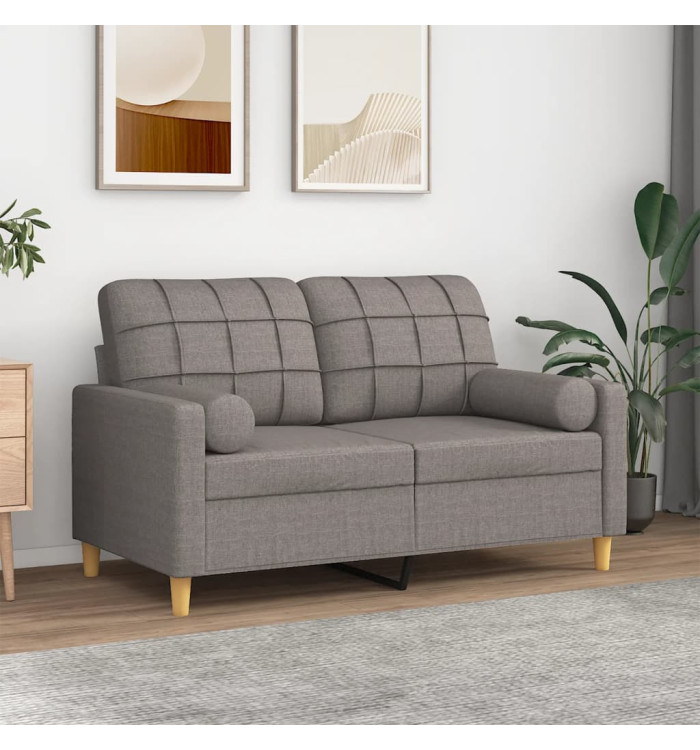 Canapé 2 places avec oreillers décoratifs taupe 120 cm tissu | Mobilier & Déco