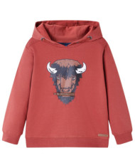 Sweatshirt à capuche pour enfants rouge brûlé 116 | Mobilier & Déco
