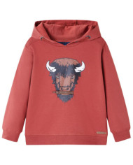 Sweatshirt à capuche pour enfants rouge brûlé 140 | Mobilier & Déco