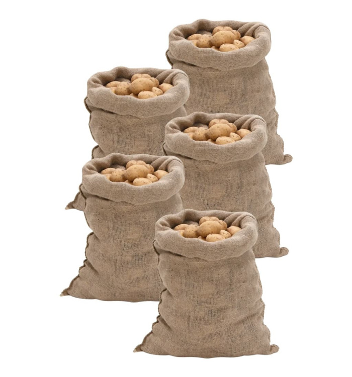 Sacs en jute 5 pcs 60x105 cm 100 % jute 220 g/m² | Mobilier & Déco