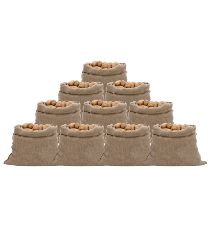 Sacs en jute 10 pcs 100x110 cm 100 % jute 220 g/m² | Mobilier & Déco
