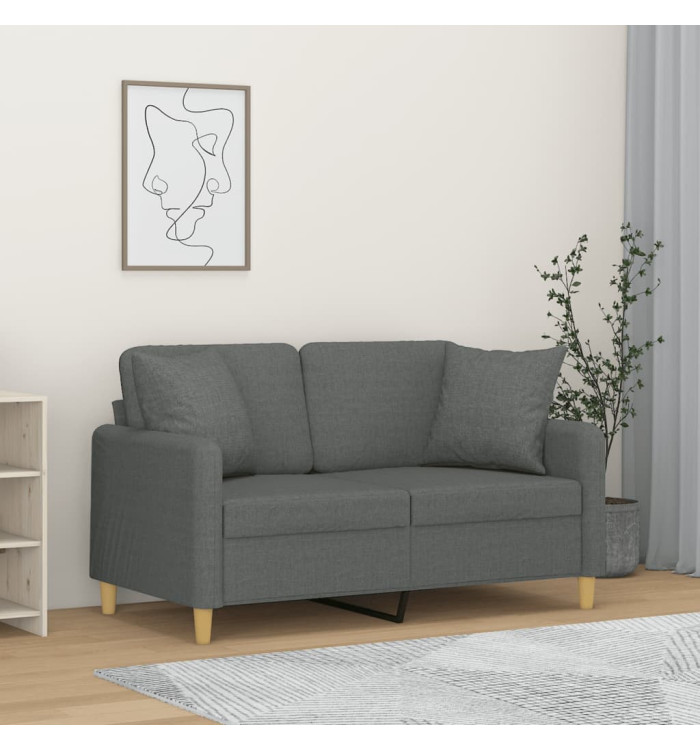 Canapé 2 places avec oreillers gris foncé 120 cm tissu | Mobilier & Déco