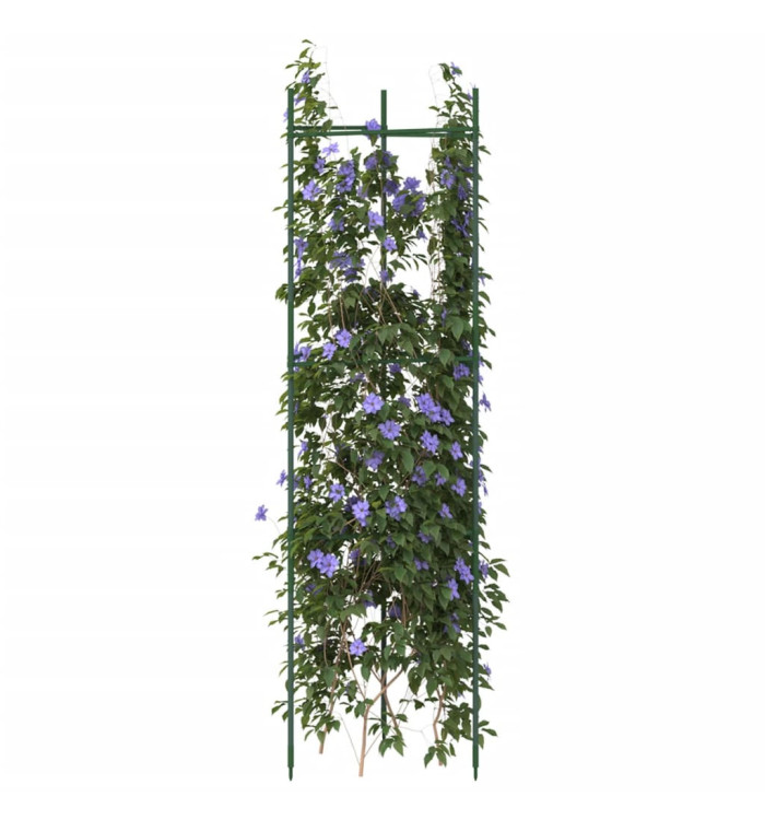 Cages à tomates 6 pcs 116 cm acier et PP | Mobilier & Déco