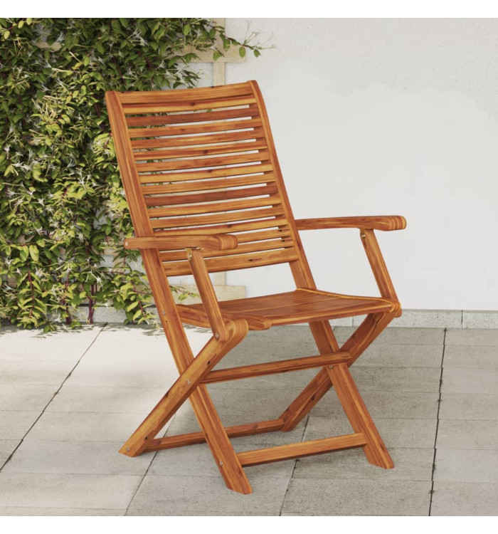 Chaises pliantes de jardin avec accoudoir lot de 2 | Mobilier & Déco