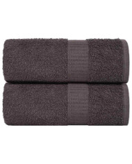 Serviettes de visage 2 pcs anthracite 30x30 cm 100% coton | Mobilier & Déco