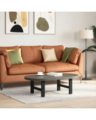 Pieds de table basse Noir 2 pièces 50 x (30-31) cm Acier | Mobilier & Déco