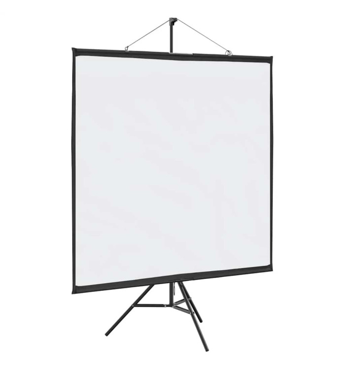 Écran de projection avec trépied 81 pouces 1:1 | Mobilier & Déco
