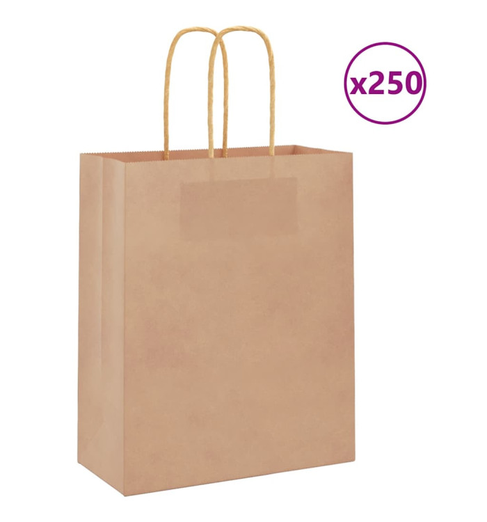 Sacs en papier 250 pcs avec poignées marron 18x8x22 cm | Mobilier & Déco