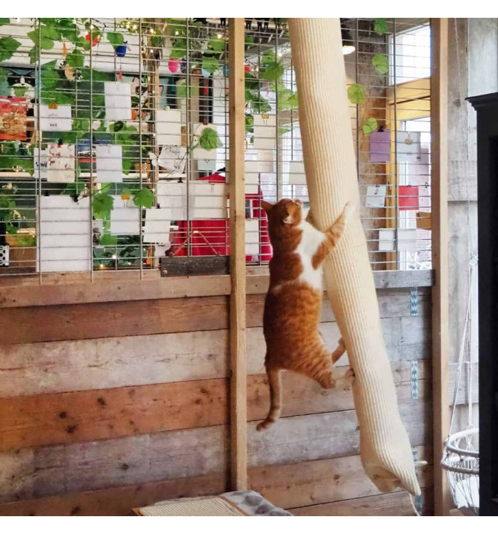 Quapas! Sac d'escalade pour chat sisal 180 cm | Mobilier & Déco