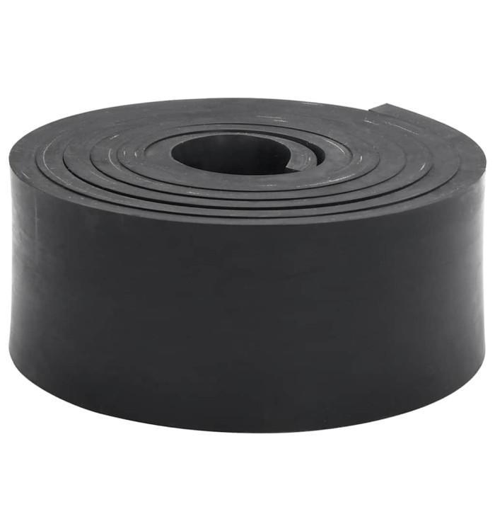 Bordure en caoutchouc de chasse-neige noir 250x8x1 cm | Mobilier & Déco