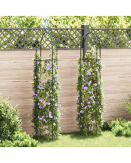 Arche de jardin en forme de tour 2 pcs | Mobilier & Déco