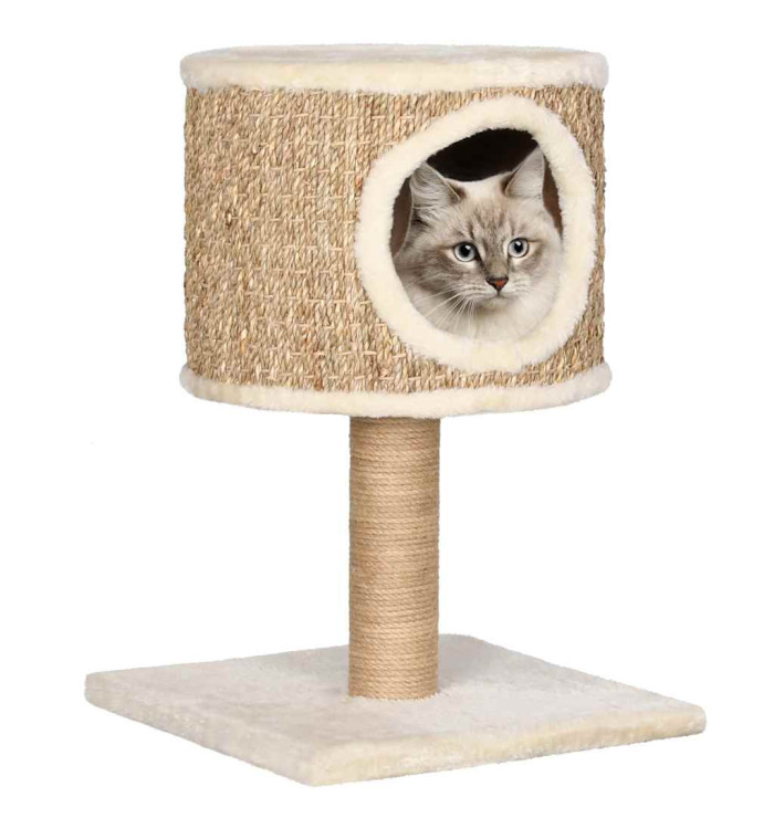 Arbre à chat avec appartement et griffoir 52 cm Herbiers marins | Mobilier & Déco