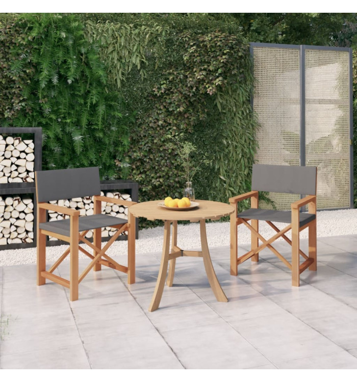 Chaises de metteur en scène lot de 2 Bois de teck massif Gris | Mobilier & Déco