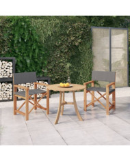 Chaises de metteur en scène lot de 2 Bois de teck massif Gris | Mobilier & Déco