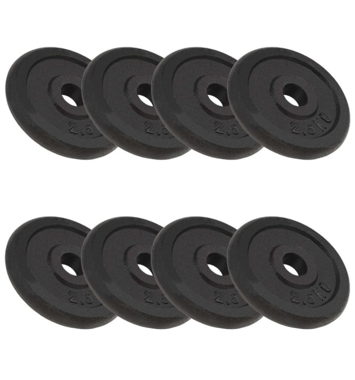Plaque de poids 8 pcs 8x2,5 kg Fonte | Mobilier & Déco