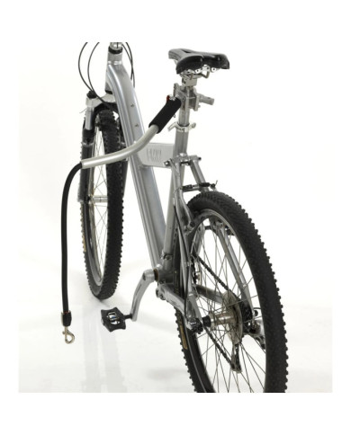 PetEgo Laisse de vélo universelle pour chiens Cycleash 85 cm | Mobilier & Déco