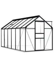 Serre avec cadre de base Anthracite Aluminium 7,03 m² | Mobilier & Déco