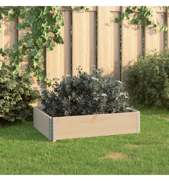 Jardinière surélevée 60x80 cm Bois de pin solide | Mobilier & Déco