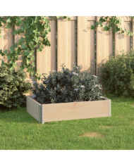 Jardinière surélevée 60x80 cm Bois de pin solide | Mobilier & Déco