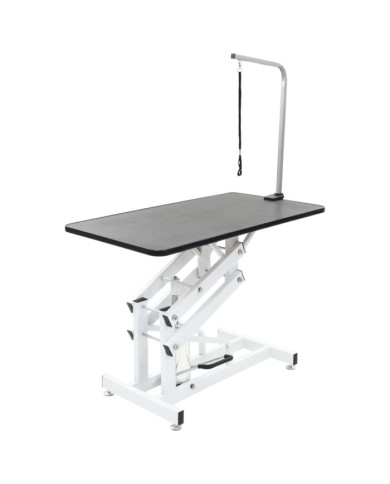Table Toilettage Ajustable Hydraulique pour Chiens Chats Animaux | Mobilier & Déco
