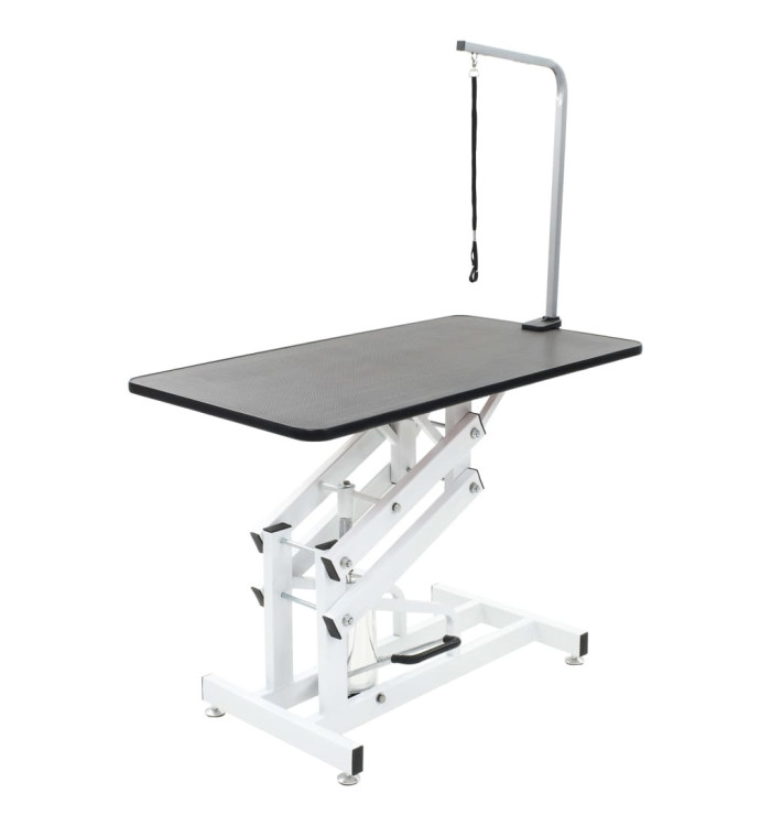 Table Toilettage Ajustable Hydraulique pour Chiens Chats Animaux | Mobilier & Déco