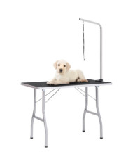 Table de toilettage réglable pour chiens avec 1 boucle | Mobilier & Déco