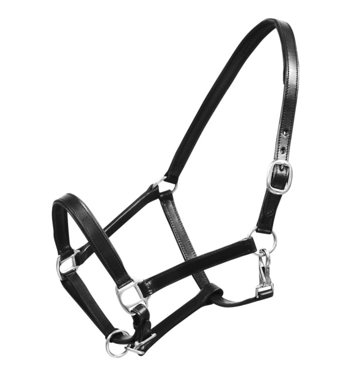 Licol Licou en cuir réglable pour écurie Cheval Noir | Mobilier & Déco