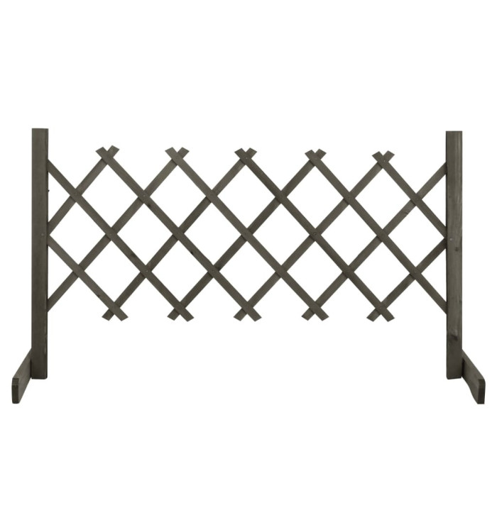 Clôture en treillis de jardin Gris 120x60 cm Bois de sapin | Mobilier & Déco