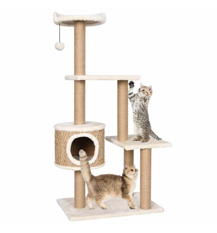 Arbre à chat avec griffoirs 123 cm Herbiers marins | Mobilier & Déco