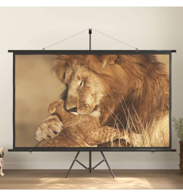 Écran de projection avec trépied 100" 16:9 | Mobilier & Déco