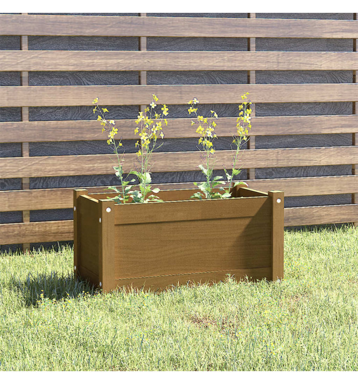 Jardinière d'extérieur Marron miel 60x31x31 cm Bois de pin | Mobilier & Déco