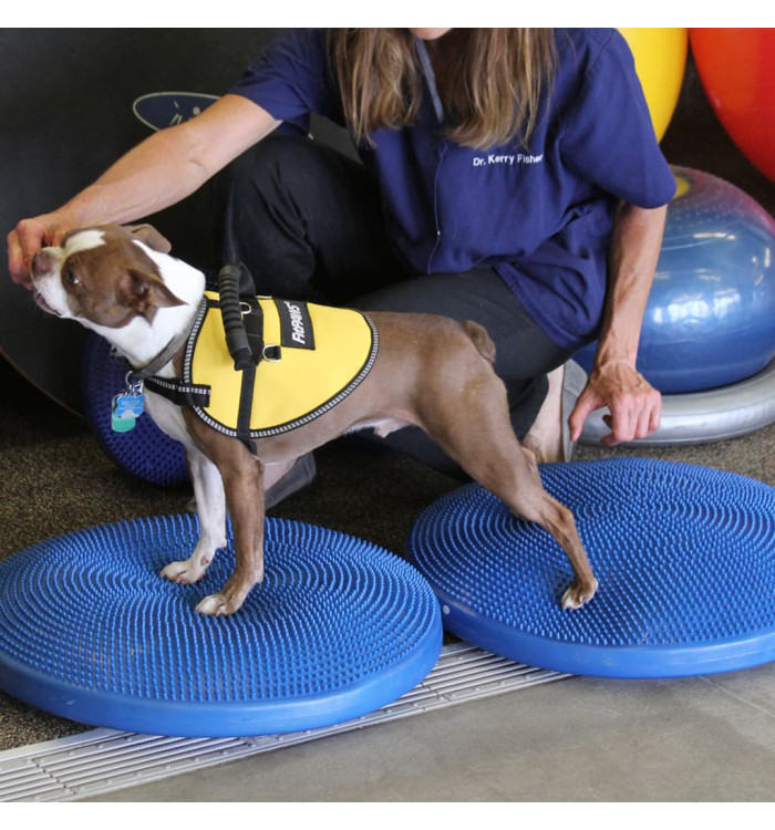 FitPAWS Disque d'équilibre pour animaux de compagnie 56 cm Bleu | Mobilier & Déco