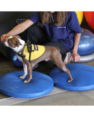 FitPAWS Disque d'équilibre pour animaux de compagnie 56 cm Bleu | Mobilier & Déco