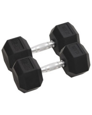 Haltères 2 pcs 25 kg Fonte | Mobilier & Déco
