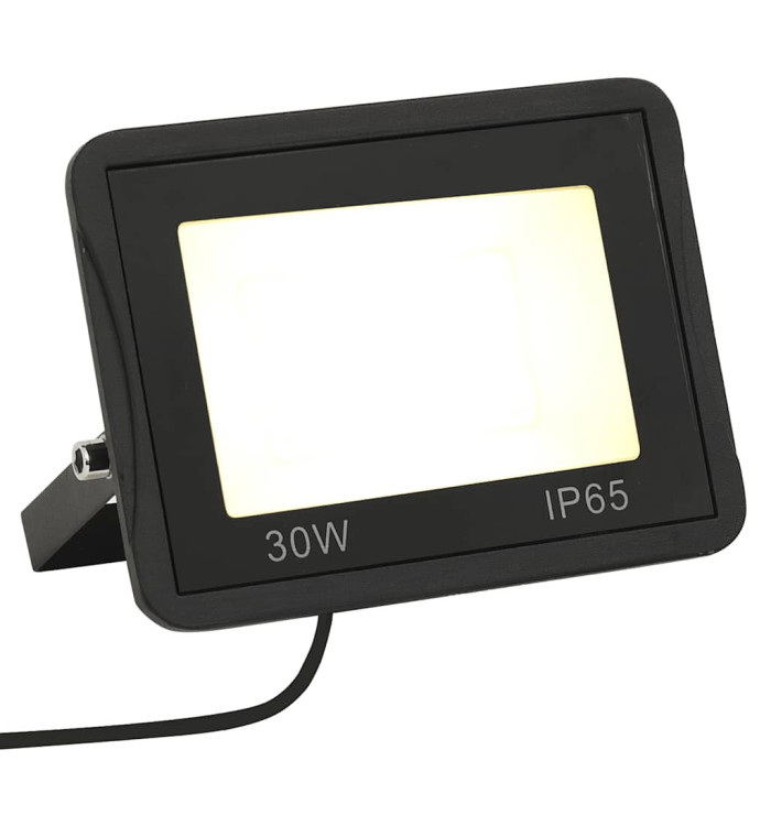 Projecteur à LED 30 W Blanc chaud | Mobilier & Déco