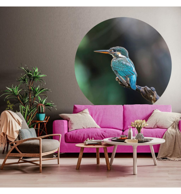 WallArt Papier peint cercle The Kingfisher 142,5 cm | Mobilier & Déco