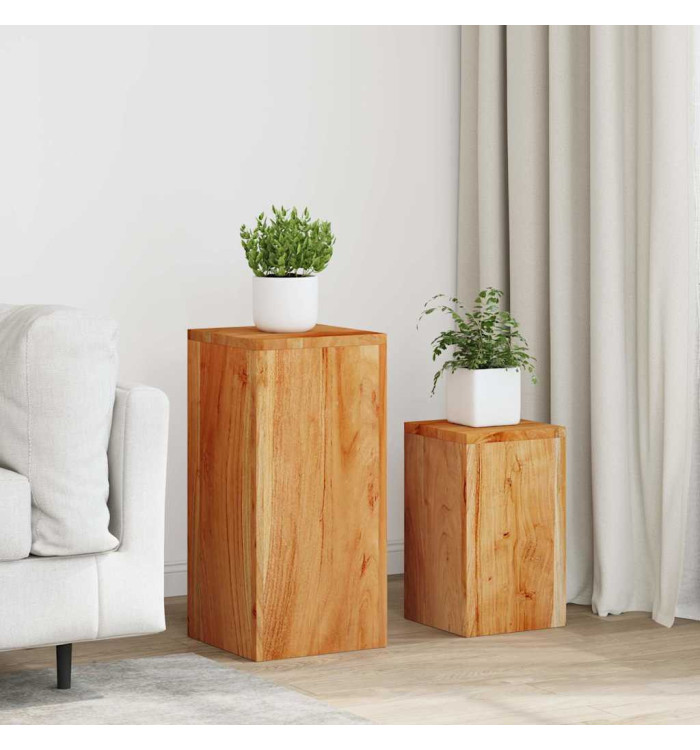 Supports pour plantes 2 pcs bois d'acacia massif | Mobilier & Déco