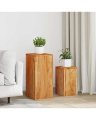 Supports pour plantes 2 pcs bois d'acacia massif | Mobilier & Déco