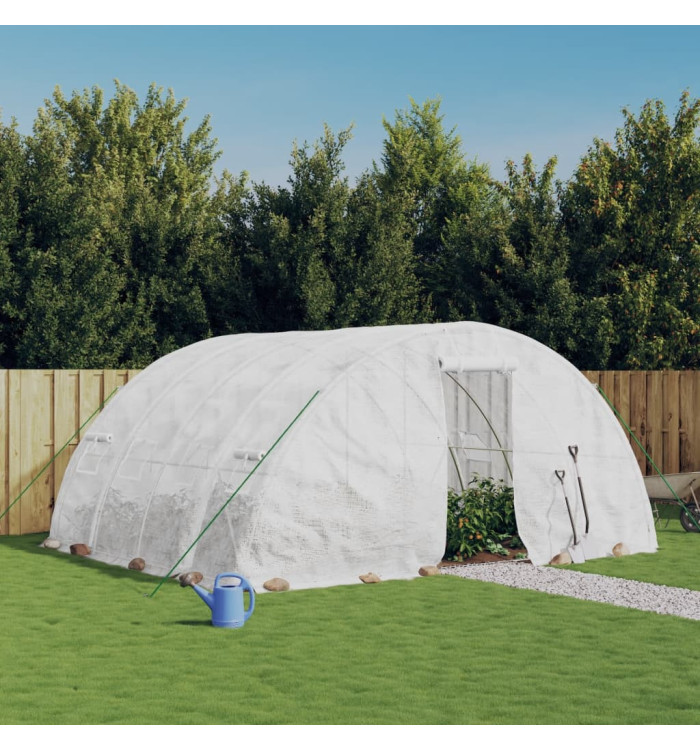 Serre avec cadre en acier blanc 20 m² 5x4x2,3 m | Mobilier & Déco