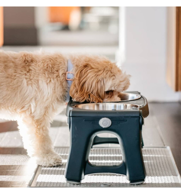 Dexas Mangeoire pour animaux de compagnie Gris | Mobilier & Déco
