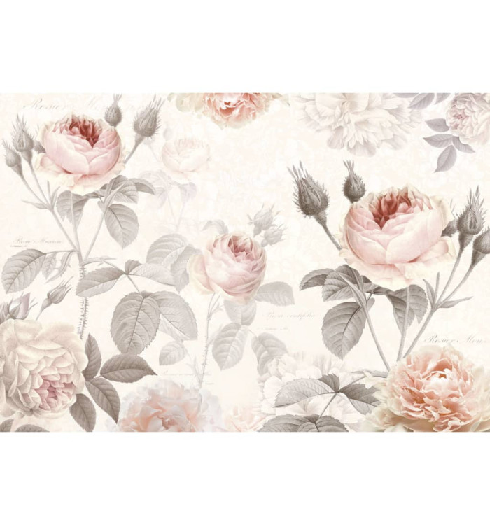 Komar Papier peint La Maison 368 x 248 cm XXL4-034 | Mobilier & Déco